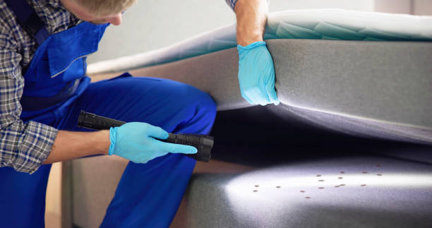 Best Pest Control for Businesses  in Hazleton, PA