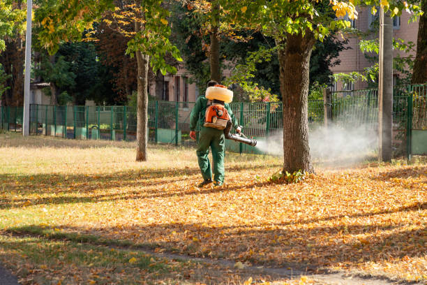 Pest Prevention Services in Hazleton, PA