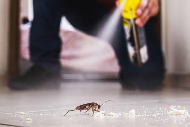 Best Mosquito Control Services  in Hazleton, PA